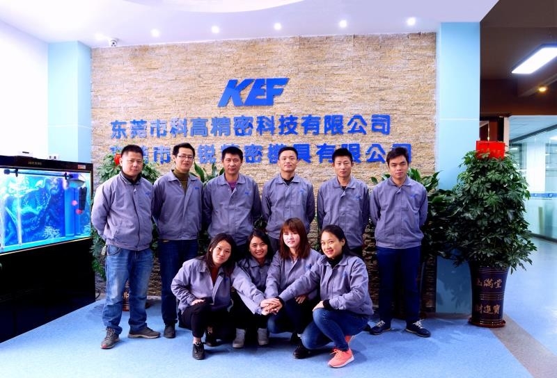 Κίνα Dongguan Kegao Precision Technology Co., Ltd. Εταιρικό Προφίλ